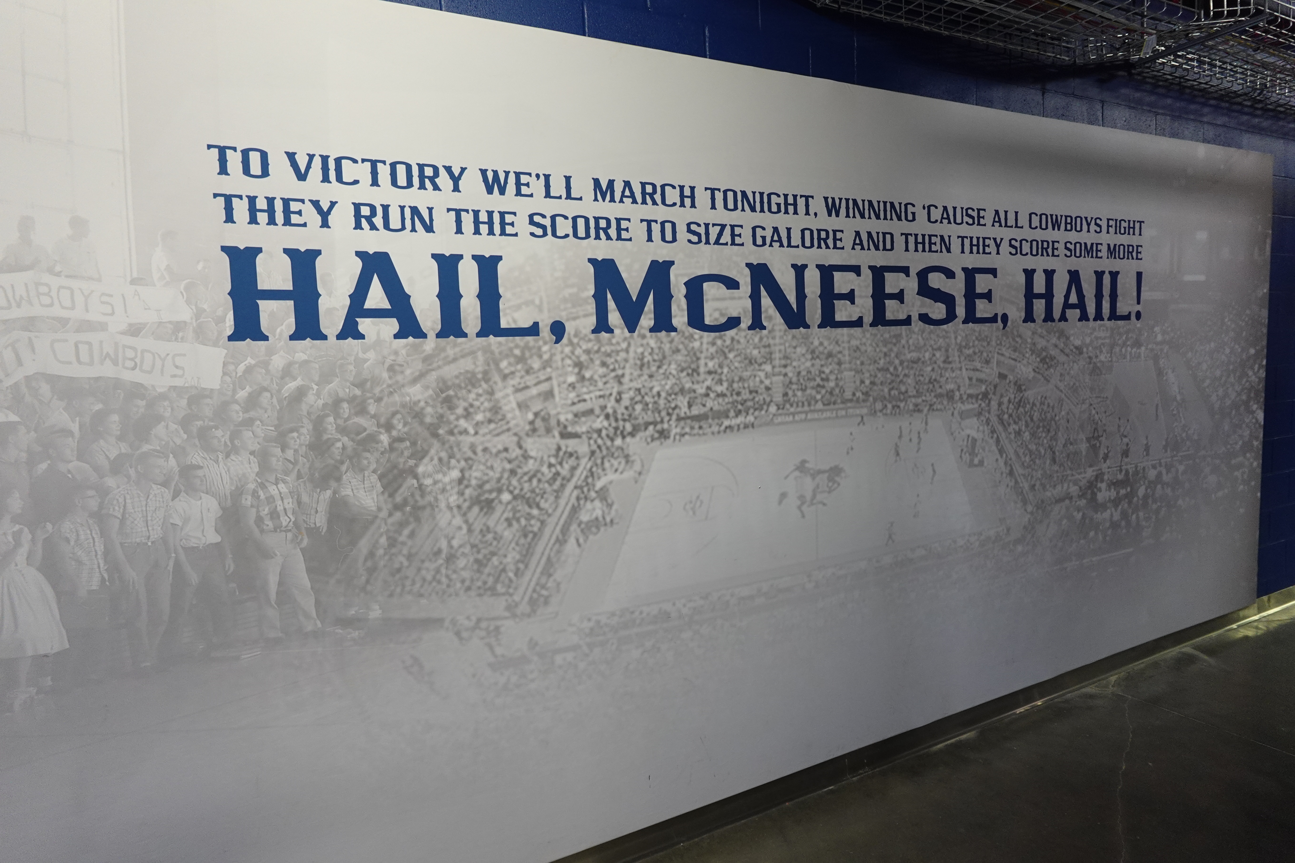 Townsley Law Arena Experience